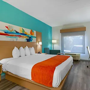 book here
